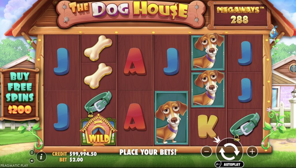 Экран бонусной игры The Dog House Megaways с липкими вайлдами и активными множителями